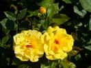 SAM_0078
