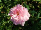 SAM_0080