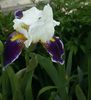 20160507_170759-1