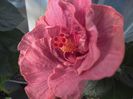 WIN_20160511_064851 (2)