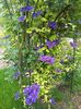 20160510_160837