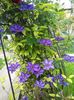 20160510_160850