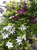 20160510_160910