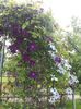 20160510_161050