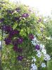 20160510_161106