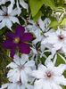 20160510_161131