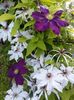 20160510_161145