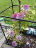 20160510_161412