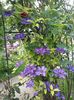 20160510_161731