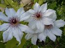20160510_162045