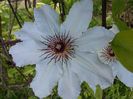 20160510_162058