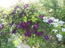 20160510_162149