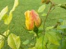20160510_162448