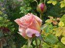 20160510_162830