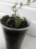 20160511_114119