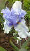 IMG_20160506_161414