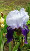 IMG_20160509_123247