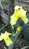 IMG_20160509_153057