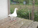 DSCN0051
