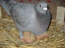 DSCN0372