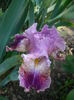 P1260503