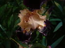 P1260505
