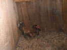 DSCF8523