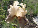 20160511_154240