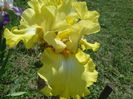 20160511_115537