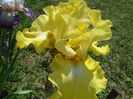 20160511_115535