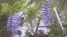 WP_20160419_08_55_57_Pro