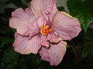 DSC05349