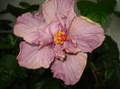 DSC05346