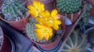 WP_20160507_13_00_48_Pro