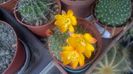 WP_20160508_11_19_08_Pro