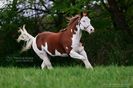 FB_IMG_1462899111050