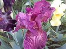 20160510_195956