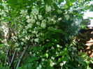 DSCN8122