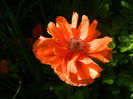 DSCN8130