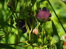 DSCN8140