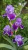 WP_20160512_006