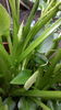 20160512_144020
