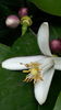 20160512_160907