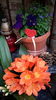 20160512_152936