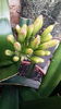 20160511_101814