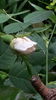 20160512_100900