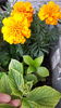 20160509_124251