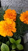 20160509_124244