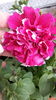 20160509_124213