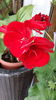 20160508_151540
